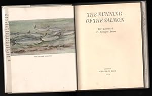 The Running of the Salmon.