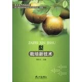 Immagine del venditore per Agricultural Production Technology Series: pear cultivation of new technologies(Chinese Edition) venduto da liu xing