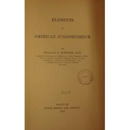Bild des Verkufers fr Elements of american jurisprudence zum Verkauf von Libreria Antiquaria Giulio Cesare di Daniele Corradi