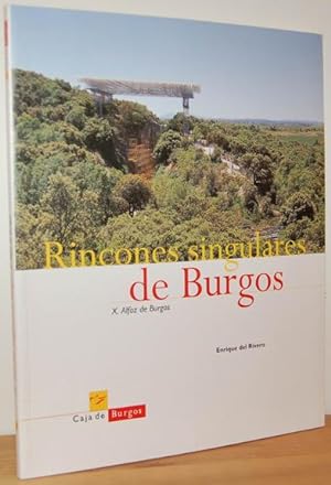 Seller image for RINCONES SINGULARES DE BURGOS (X. Alfoz de Burgos) for sale by EL RINCN ESCRITO