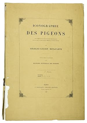 Iconographie des Pigeons non figurés par Mme Knip dans les deux volumes de MM. Temminck et Floren...