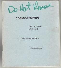 Cosmogenesis For Children (of All Ages) A Teilhardian Perspective