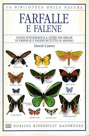 Farfalle e falene