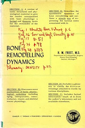 Bone Remodelling Dynamics