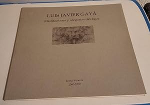 Meditaciones y alegorías del agua (Roma-Venecia, 2000-2002)