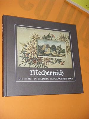 Mechernich. Die Stadt in Bildern vergangener Tage (Bd. 1)
