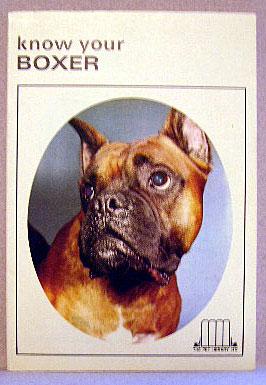 KNOW YOUR BOXER