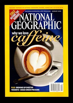 Image du vendeur pour The National Geographic Magazine / January, 2005. What's the Buzz (Coffee), Growing Up Cheetah, Italy Before the Romans, A People Apart (Moroccan Berbers), Yosemite-Grace Under Pressure, Hot Coffee Road (MS) mis en vente par Singularity Rare & Fine