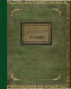 Seller image for Six / 6 Birds : Accurately Drawn and Coloured / Colored After Nature : With Full Instructions for the Young Artist : Intended as a Companion to the Treatise on Flower Painting for sale by GREAT PACIFIC BOOKS