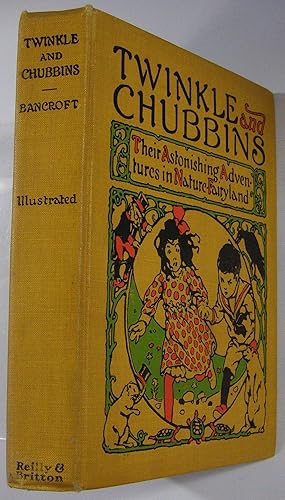 Twinkle and Chubbins: Their Astonishing Adventures in Nature-Fairyland