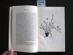 Bild des Verkufers fr Blumen immer und berall. Mit Zeichnungen der Verfasserin. zum Verkauf von Augusta-Antiquariat GbR