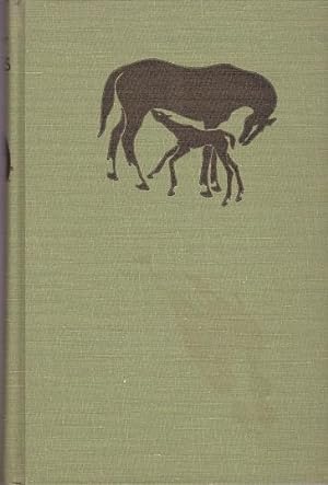 Bild des Verkufers fr Horses and Tack zum Verkauf von Shamrock Books