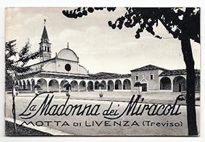 La Madonna dei Miracoli in Motta di Livenza (TREVISO)