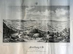 Freiburg i.B. 1876 aus der Vogelschau.