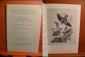 Imagen del vendedor de NINETEENTH TWENTIETH CENTURY ENGRAVINGS ETCHINGS LITHOGRAPHS AND WOODCUTS PLATES FROM THE FIRST EDITION OF AUDUBON'S BIRDS OF AMERICA A COLLECTION OF POSTERS Denis Darragh Paris (1966) a la venta por Rose City Books