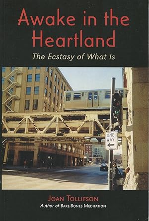 Imagen del vendedor de Awake in the Heartland: The Ecstasy of What Is a la venta por Kenneth A. Himber