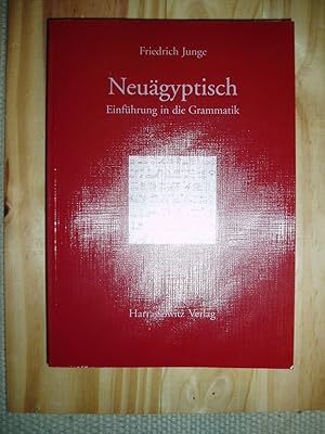 Einfuhrung in die Grammatik des Neuägyptisch