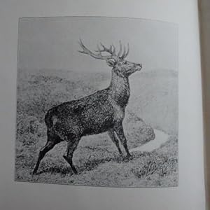 The Story of a Red-Deer