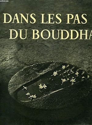 Seller image for DANS LES PAS DU BOUDDHA for sale by Le-Livre