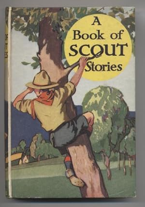 A Book of Scout Stories (Summit Library)