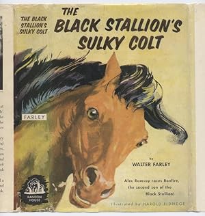 The Black Stallion's Sulky Colt