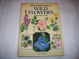 Illustrated Guide to Wild Flowers