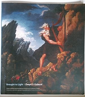 Imagen del vendedor de Brought to Light | Dwyn i'r Goleuni -Artists Working With the National Museum. a la venta por *bibliosophy*