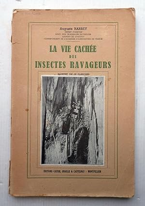 La Vie Cachée Des Insectes Ravageurs ; Souvenirs d'un Entomologiste Forestier