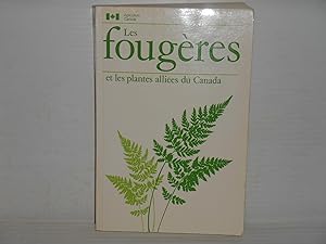 Les Fougeres et les plantes alliees du Canada