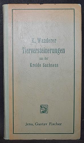 Die wichtigsten Tierversteinerungen aus der Kreide des Königreiches Sachsen.