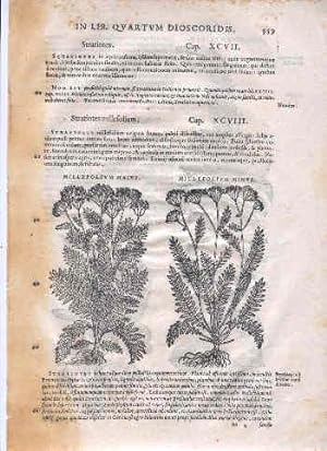 Seller image for Original Leaf dated 1560 A. D." [Page 559-560 of And. Matthioli Comm. In Lib. Quartum Dioscordis.; with 5 woodcuts]. for sale by Peter Keisogloff Rare Books, Inc.