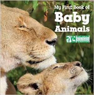Imagen del vendedor de My First Book of Baby Animals (National Wildlife Federation) (Board Book) a la venta por Grand Eagle Retail