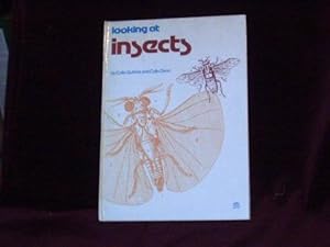 Imagen del vendedor de Looking at Insects; a la venta por Wheen O' Books