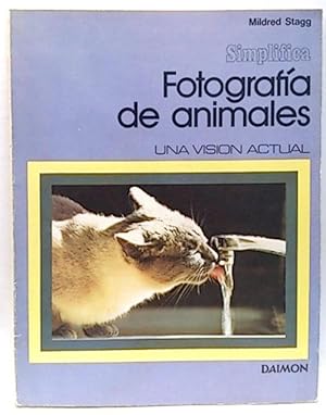 Fotografía De Animales. Una Visión Actual