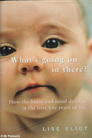 What's going on in there? How the brain and mind develop in the first five years of life