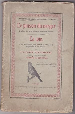 Le Pinson Du Verger - La Pie