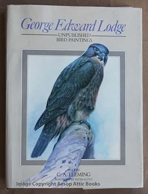 GEORGE EDWARD LODGE : Unpublished Bird Paintings