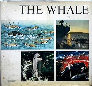 THE WHALE.