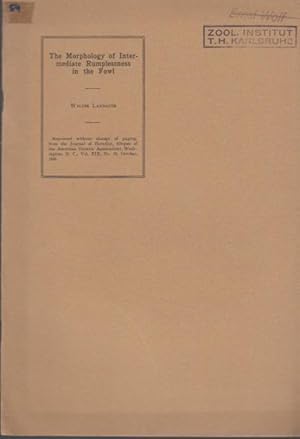 Immagine del venditore per The Morphology of Intermediate Rumpless in the Fowl. With Remarks Concerning Hereditary and Accidental Rumplessness. venduto da Antiquariat am Flughafen