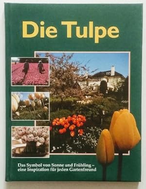 Die Tulpe.