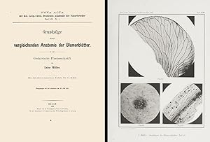 Grundzüge einer vergleichenden Anatomie der Blumenblätter. In 4to, original card stiff, pp. 355 w...