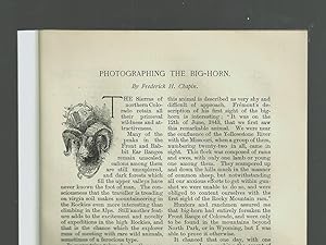 Seller image for Photographing The Big-Horn for sale by Legacy Books II