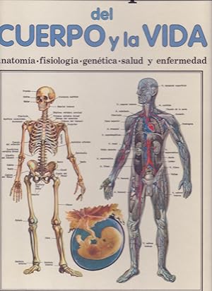 Seller image for ATLAS SOPENA DEL CUERPO Y LA VIDA (anatomia, fisiologia, genetica, salud y enfermedad) (342 ilustraciones en color, 22 graficos y estadillos) for sale by Libreria 7 Soles
