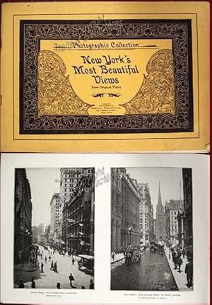 New-York's most beautiful views from original plates.