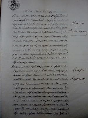 Lotto Documenti "Famiglia PANNILINI - MARRI, Siena 1863 - 1864"