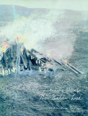 Imagen del vendedor de Anselm Kiefer Das Balder Lied Bastian, H. (Hg.) a la venta por artbook-service