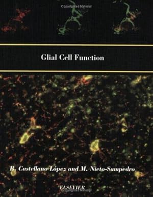 Glial Cell Function (Paperback)