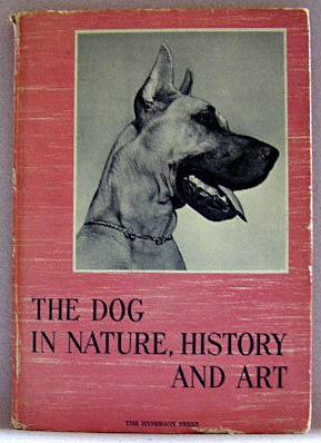 Imagen del vendedor de THE DOG IN NATURE, HISTORY AND ART a la venta por B A Downie Dog Books