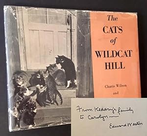 The Cats of Wildcat Hill