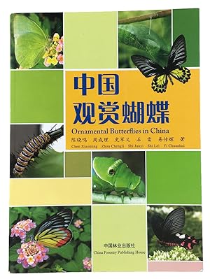 Ornamental Butterflies in China.